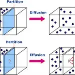 efusion y difusion de los gases
