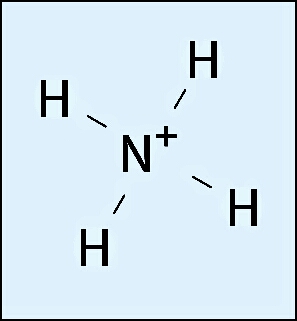 Estructura de Lewis del NH4+ (Ion Amonio)